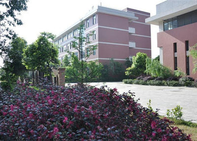 学校绿植.jpg