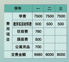 平度扬帆职业学校学费