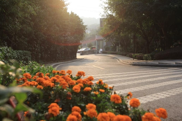 成都市体育运动学校简介