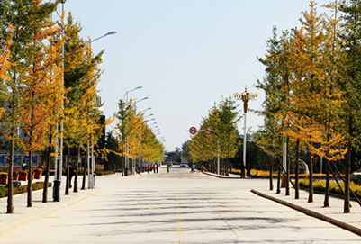 陇东学院