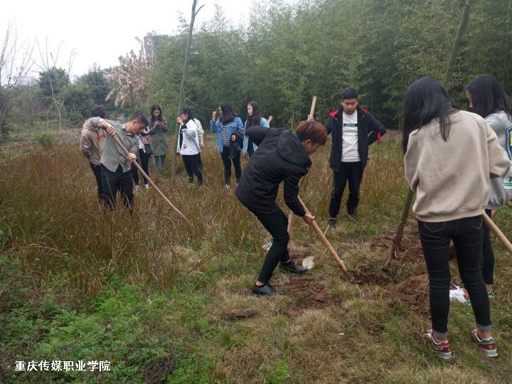 重庆传媒职业学院