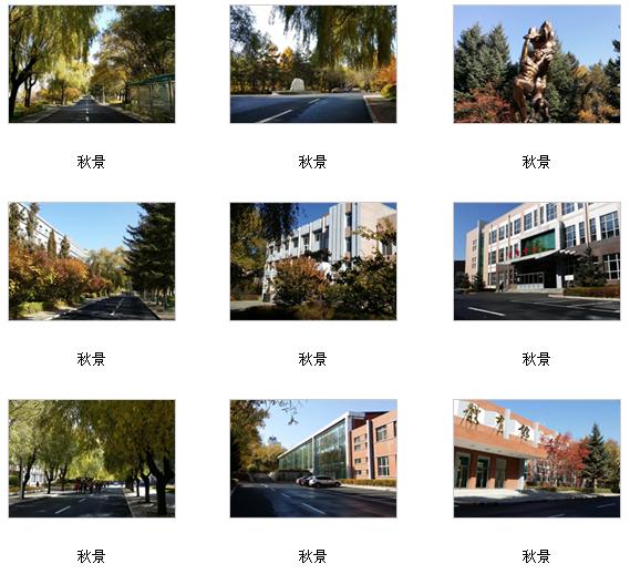 黑龙江林业职业技术学院 校园图片简介
