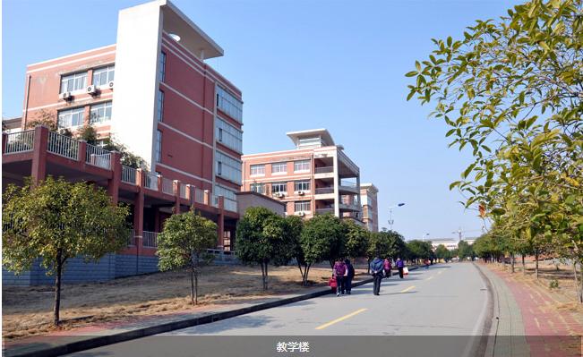 湖北省鄂南高级中学 学校图片简介