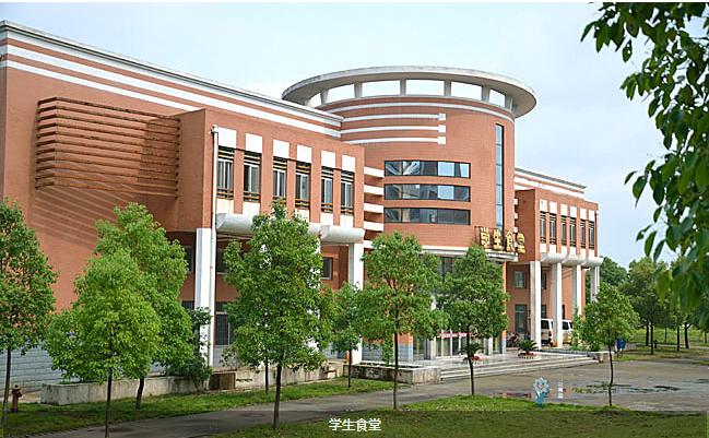 湖北省鄂南高级中学 学校图片简介