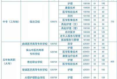 临沧卫生学校招生计划