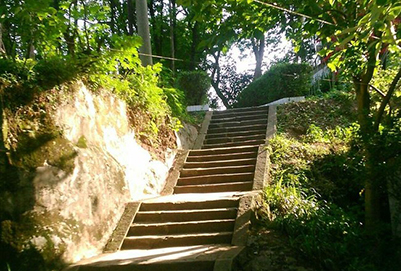 宜宾县科普职业技术学校校园道路