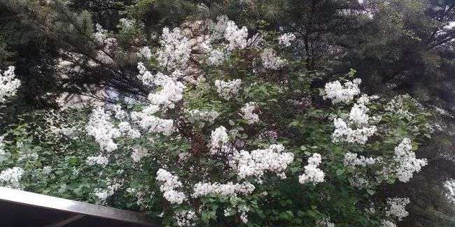 晋东南幼儿师范学校操场