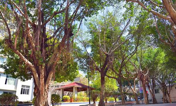 福建经济学校教学气息