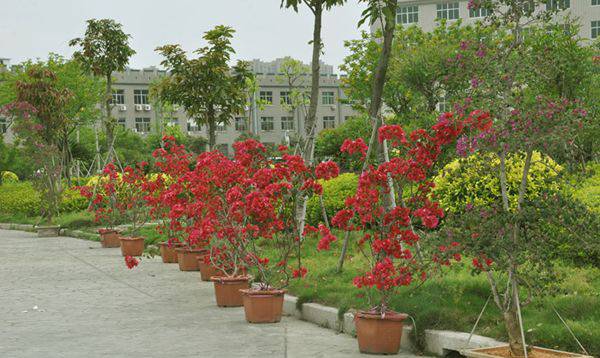 福建财茂工业技术学校餐厅