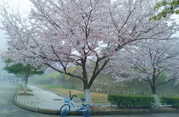 山西旅游学校