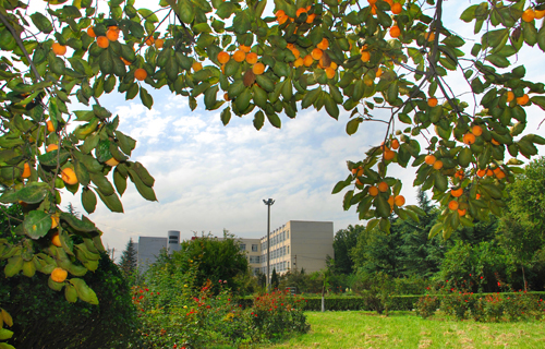 烟台电子技工学校