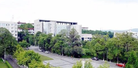 四川幼儿师范高等专科学校专业有哪些