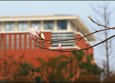 遵义医药高等专科学校校园美景