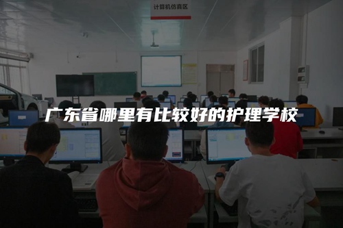 广东省哪里有比较好的护理学校