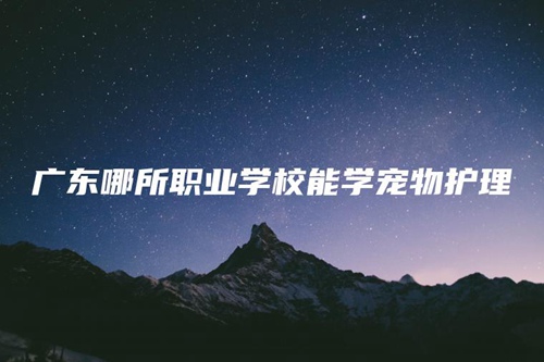 广东哪所职业学校能学宠物护理