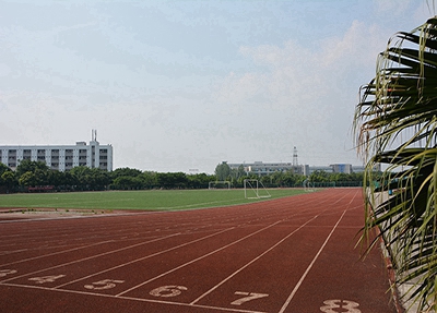 2024洛阳公办烹饪学校有哪些